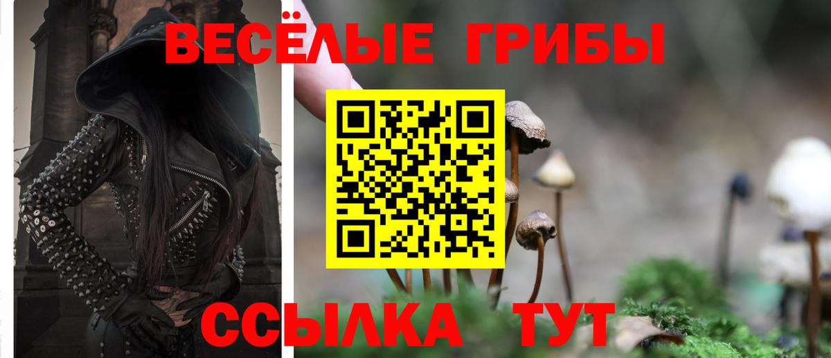 Псилоцибиновые грибы GOLDEN TEACHER Елабуга