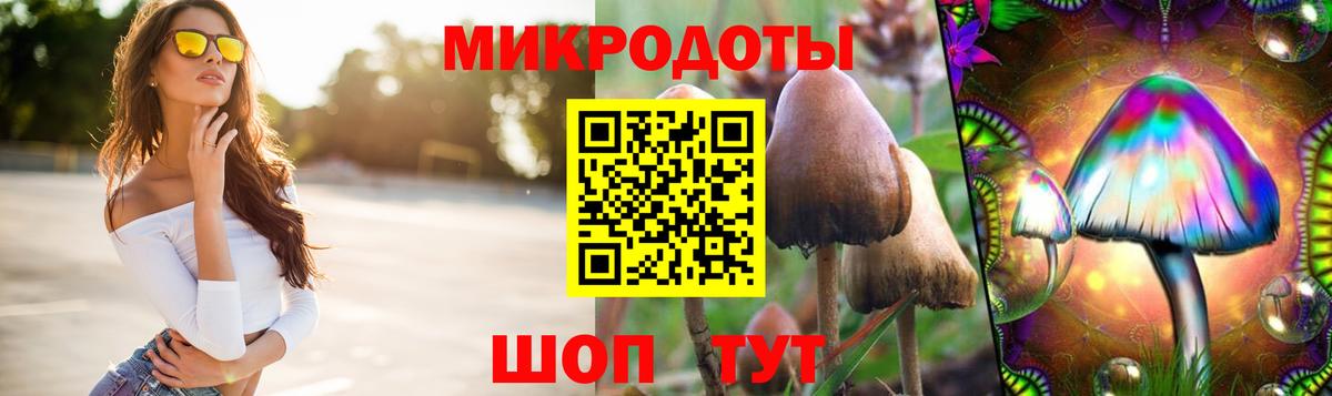 Галлюциногенные грибы GOLDEN TEACHER  Вход с VPN  Елабуга  Псилоцибиновые грибы Psilocybine cubensis 